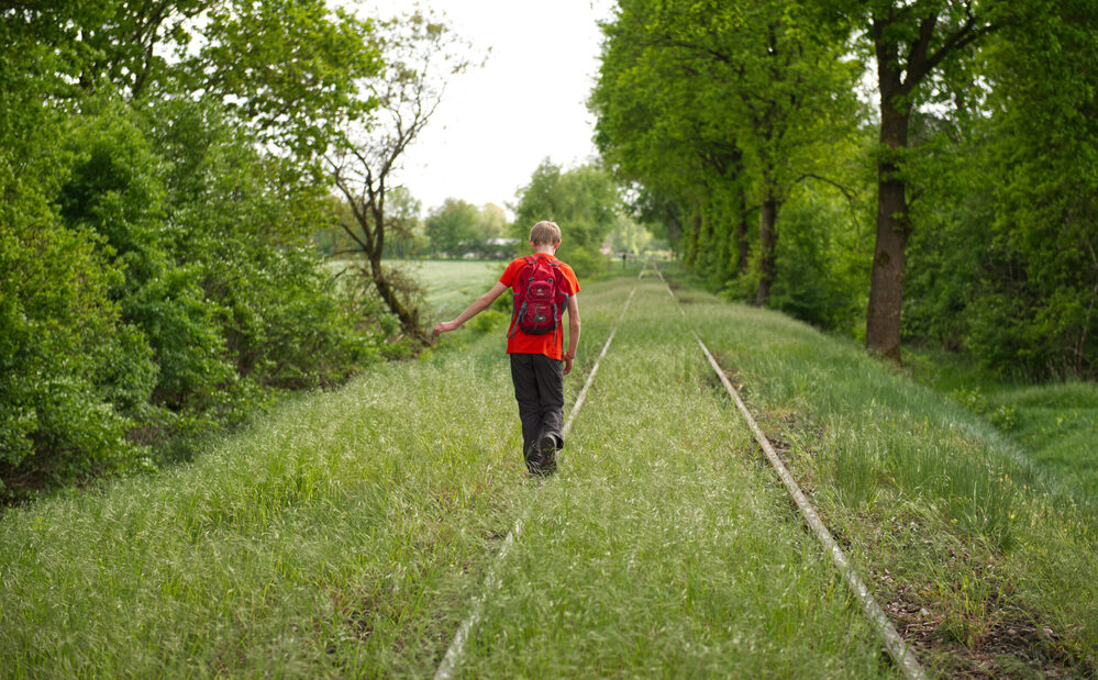 Pflege- und Adoptivfamilien