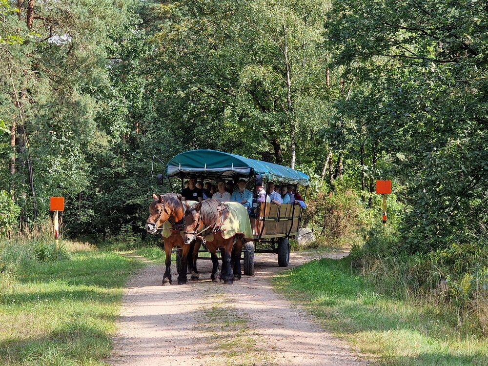 Heidetour – Freizeit für ältere Geschwister