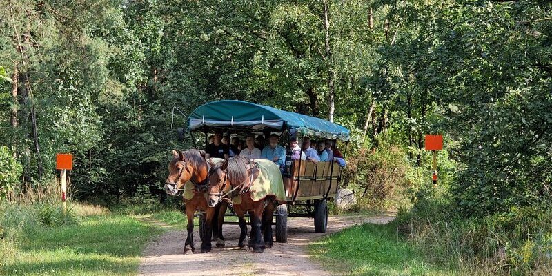 Heidetour &ndash; Freizeit f&uuml;r &auml;ltere Geschwister